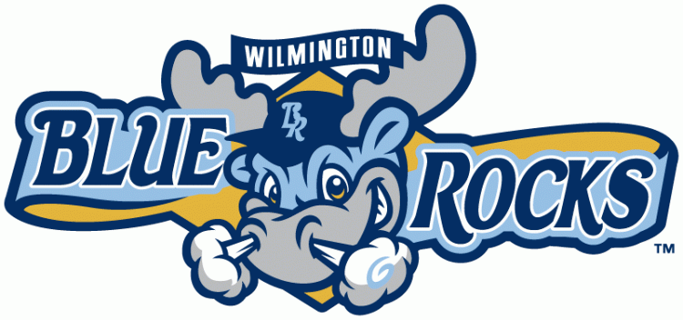 Wilmington Blue Rocks 2010-pres primary logo iron on heat transfer